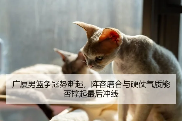 广厦男篮争冠势渐起，阵容磨合与硬仗气质能否撑起最后冲线